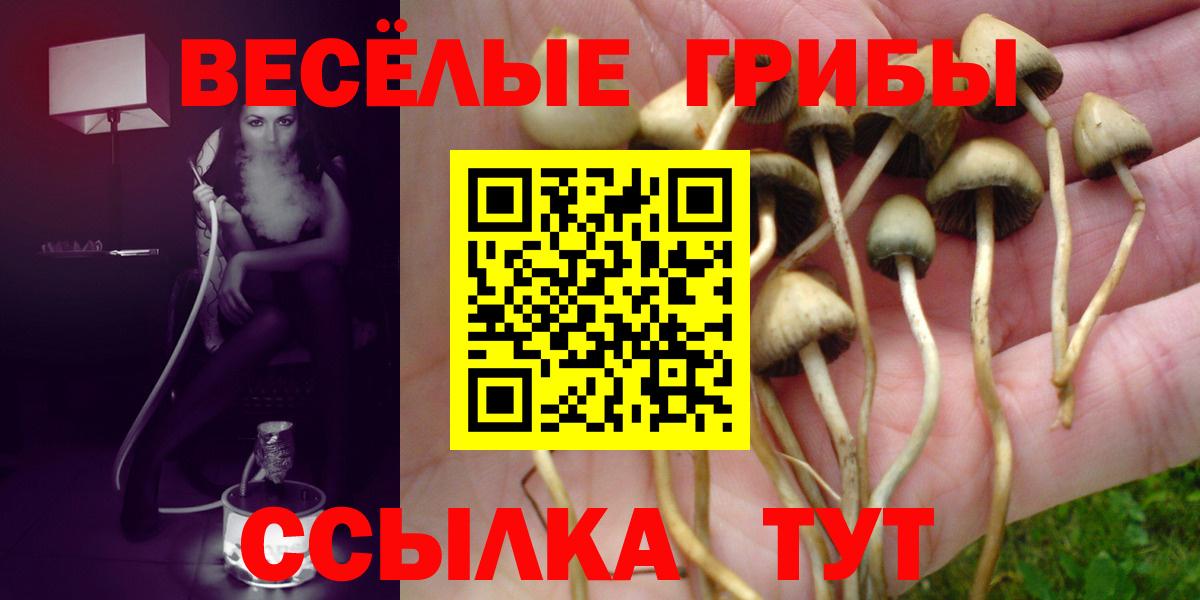 Галлюциногенные грибы мицелий Вышний Волочёк