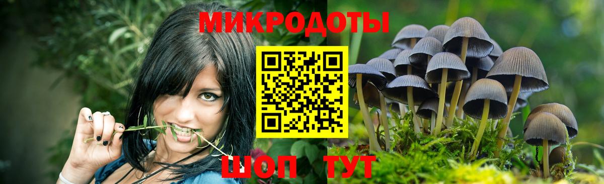 Псилоцибиновые грибы Psilocybine cubensis  Вход с VPN  Вышний Волочёк 
